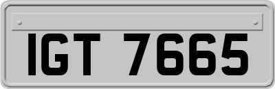 IGT7665