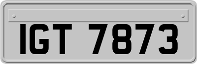 IGT7873