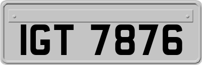 IGT7876