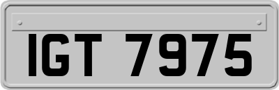 IGT7975