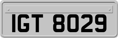IGT8029