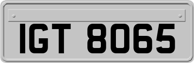 IGT8065