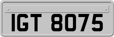 IGT8075