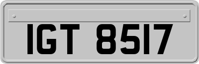 IGT8517