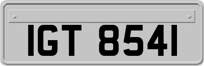IGT8541