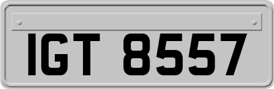 IGT8557