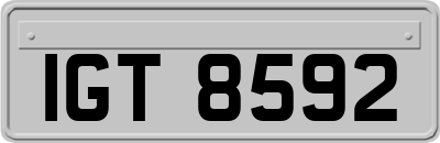 IGT8592