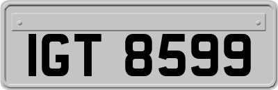 IGT8599