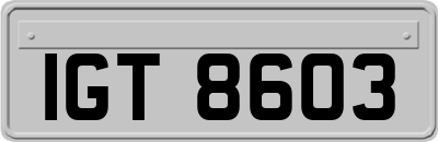 IGT8603