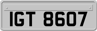 IGT8607