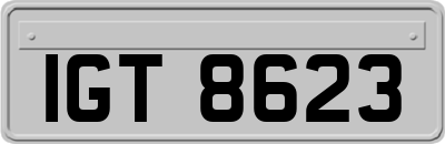 IGT8623