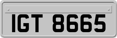 IGT8665