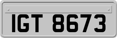 IGT8673