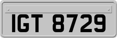 IGT8729