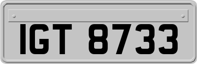 IGT8733