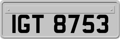 IGT8753