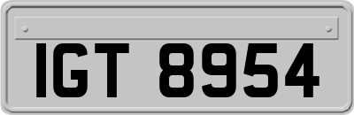 IGT8954