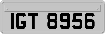 IGT8956