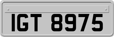 IGT8975