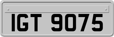 IGT9075