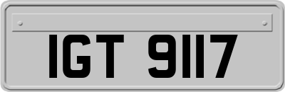 IGT9117