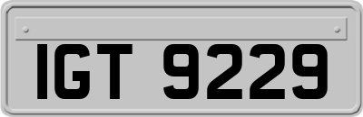IGT9229