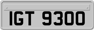 IGT9300