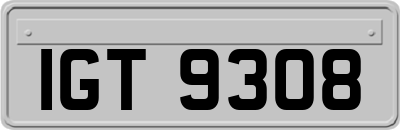 IGT9308
