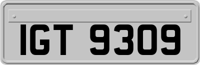 IGT9309