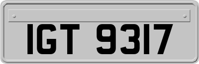IGT9317