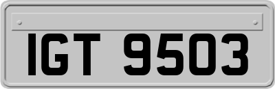 IGT9503