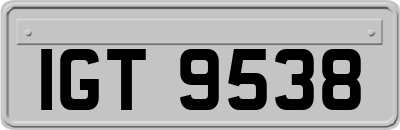 IGT9538