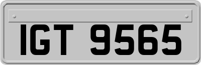 IGT9565