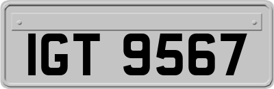 IGT9567