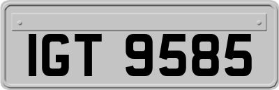 IGT9585