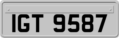 IGT9587
