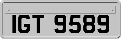 IGT9589