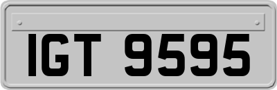 IGT9595