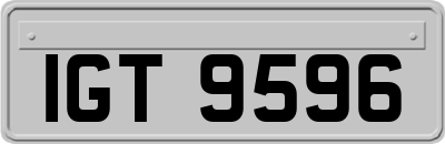 IGT9596