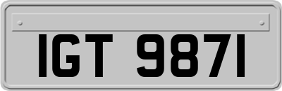 IGT9871
