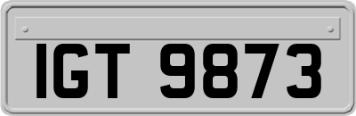IGT9873