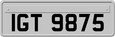 IGT9875