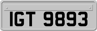 IGT9893