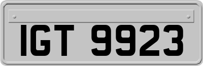 IGT9923