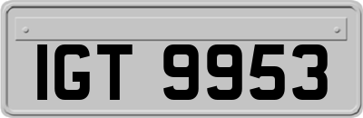 IGT9953