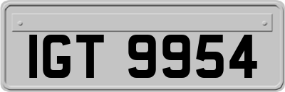 IGT9954