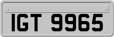 IGT9965