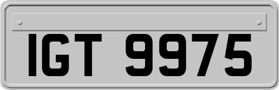 IGT9975