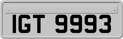 IGT9993