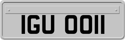 IGU0011